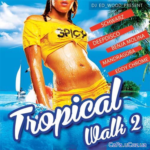 Tropical Walk vol. 2 (2018)