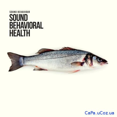VA - Sound Behaviour - Sound Behavioral Health (2018)