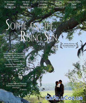 Смотреть Софи и восходящее солнце (2016) онлайн